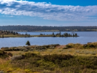 Reinsvand